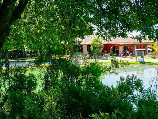 Locale in vendita di 365 m² in Via Acquafredda