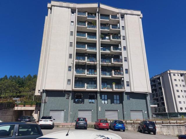 Locale in vendita di 365 m² in Via Domenico Gaudio, 36