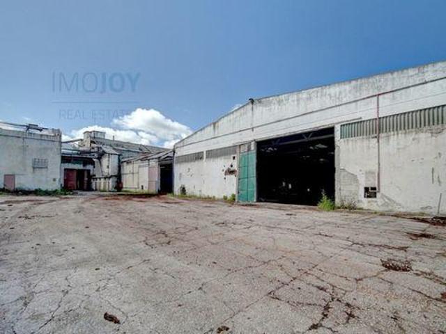 Locales Montijo Setúbal 2870 609 DLS91075605