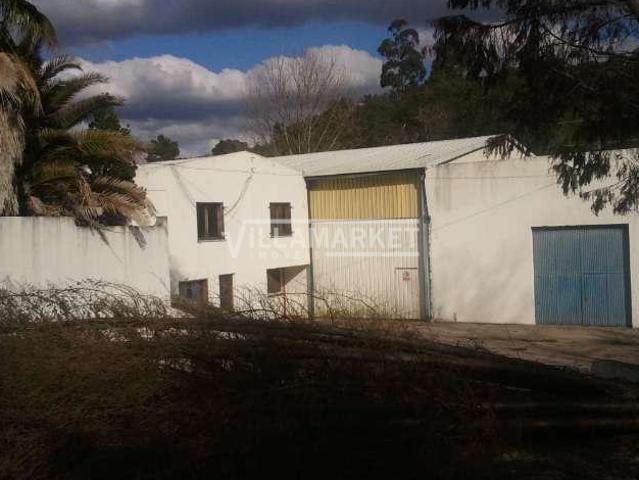 Locales Abrantes Santarém DS72420098