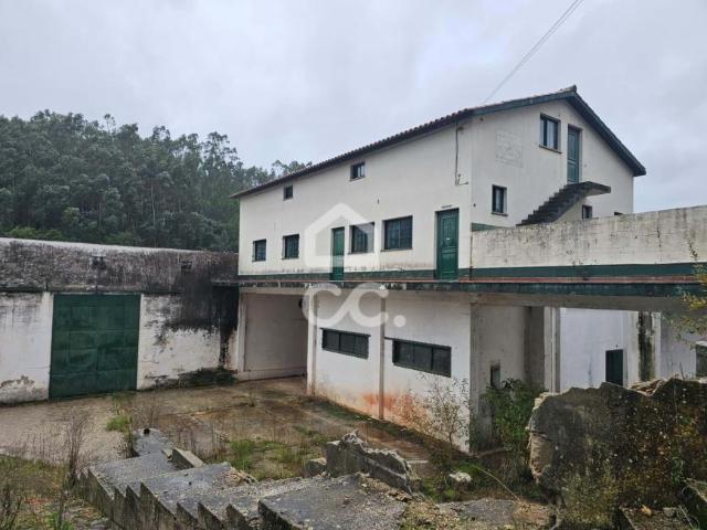 Locales Alvaiázere Leiria DS96847986