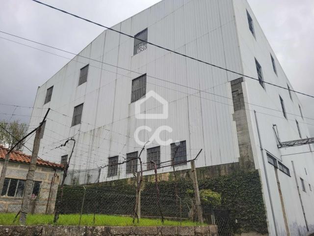 Locales Guimarães Braga DLS79074174