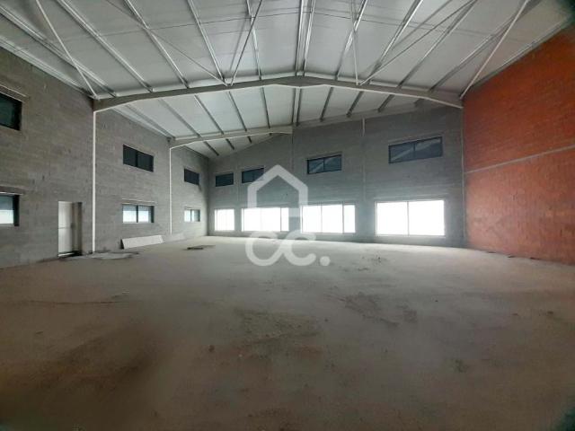 Locales Lousada Porto DLS96345237