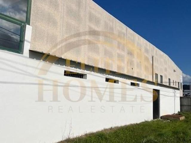 Locales Palmela Setúbal DS99827536