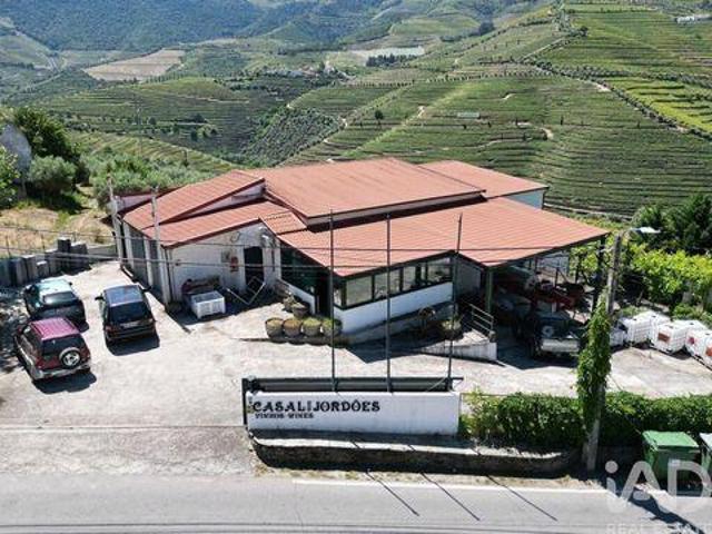 Locales Sao Joao Da Pesqueira Viseu DLS100854638