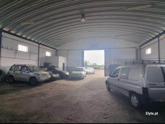 Locales Salvaterra de Magos Santarém 2120 046 DLS85256823