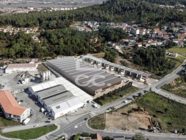 Locales Viana do Castelo Viana do Castelo DLS99831072