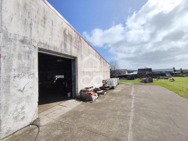 Locales Vila da Praia da Vitória Ilha Terceira DS99827362