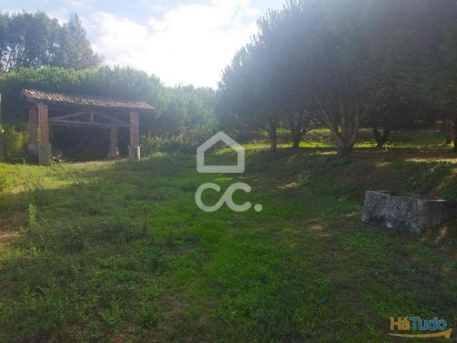 LOCALIZAÇÃO: MONTE REAL Terreno com a área de 4.550 m2 com viabilidade de construção urbana sito em zona central de Monte Real. | 26083409965