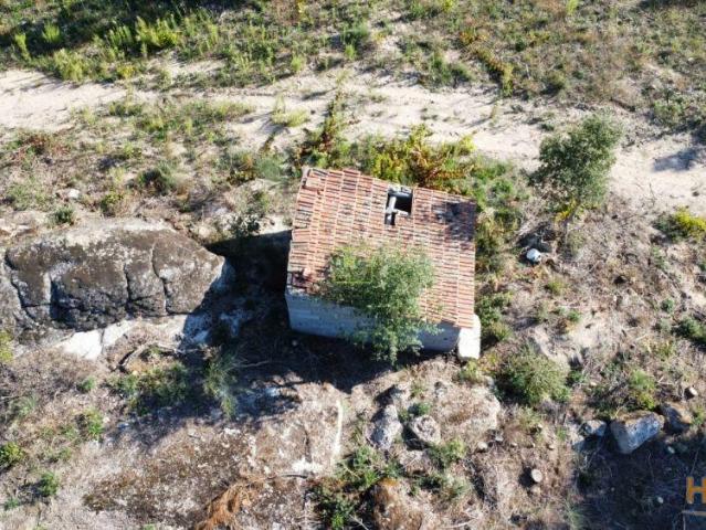 Localizado na freguesia de Vale de Prazeres e Mata da Rainha, este terreno pode ter o que você procu | 25043916811