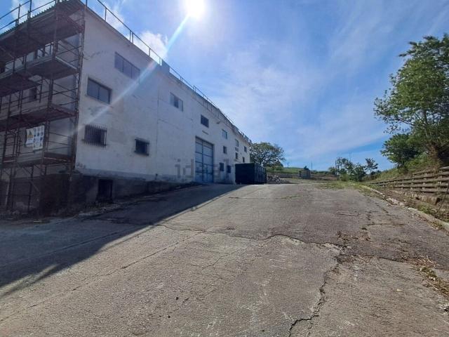 Locali o capannoni in vendita di 1200 m²