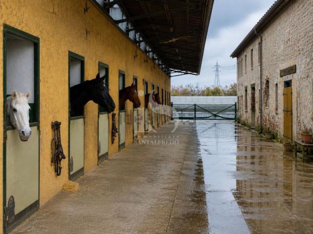 Locali o capannoni in vendita di 16700 m² in Località Cà de&apos  Zecchi