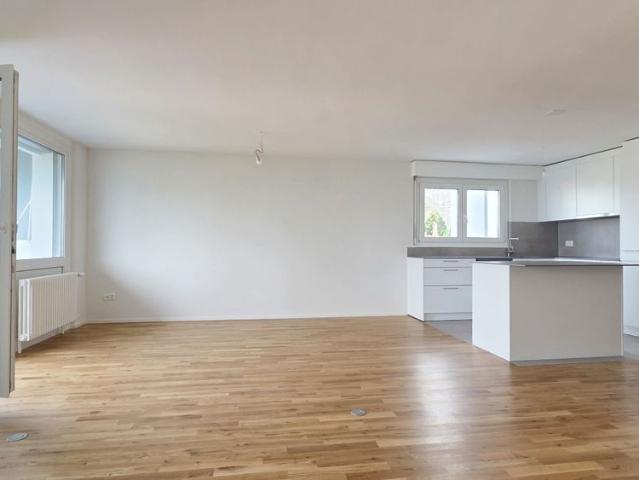 Renovated 3.5 room apartment with lake view