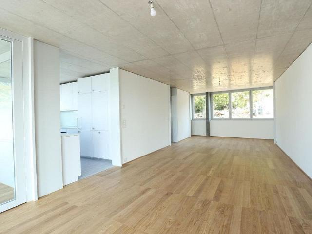 3.5 Zimmerwohnung in Therwil