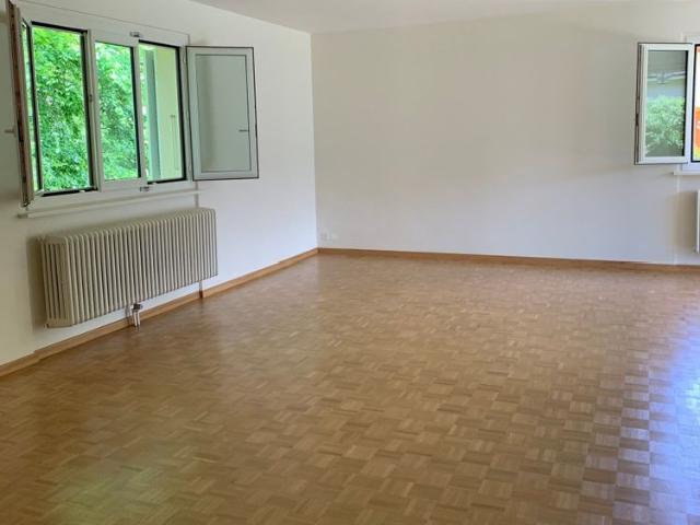 Charming 6 room villa in Veyrier