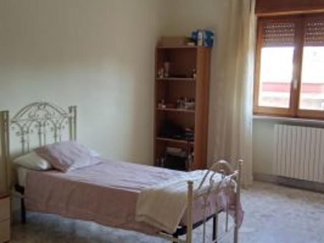 Locasi camere