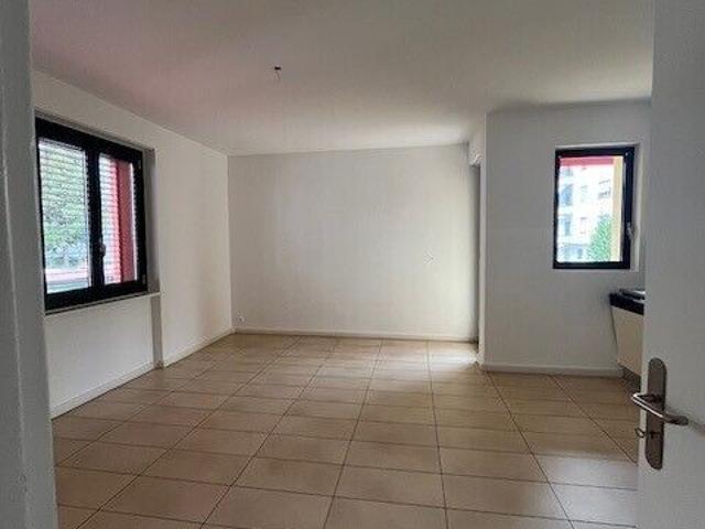 LOCARNO, 4 1/2 room apartment for rent