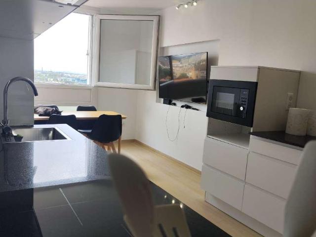 location 5 pièces meublée de 74 m² à Lyon