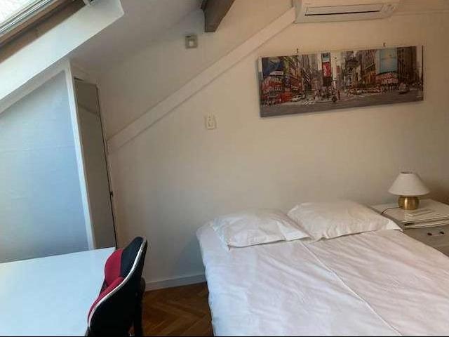 location 6 pièces meublée de 200 m² à Caluire et Cuire