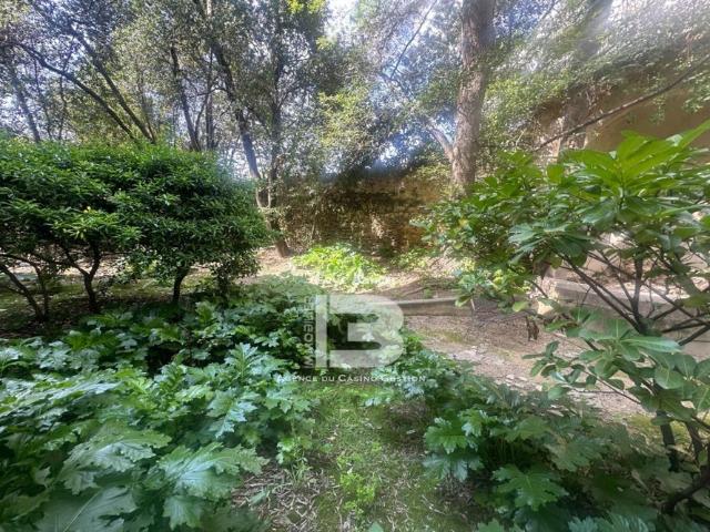 location 1 Pièce s