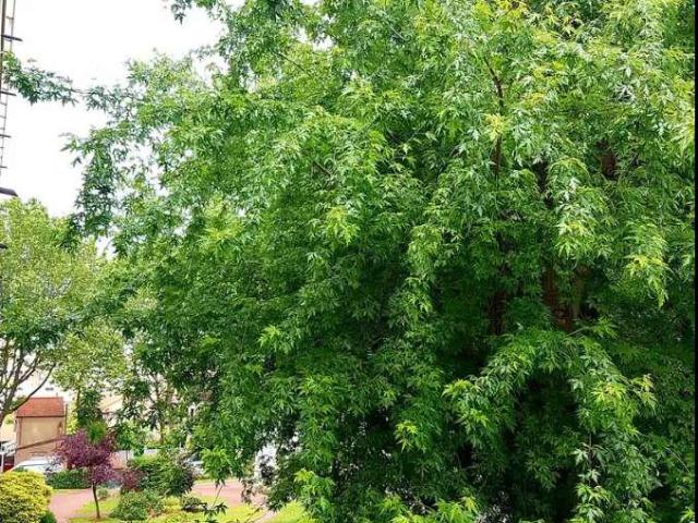 location 3 pièces meublée de 36 m² à Malakoff