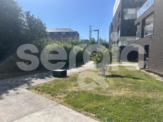 location t1 36 m² lille 59000
