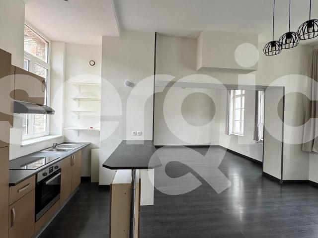 location t2 74 m² douai 59500