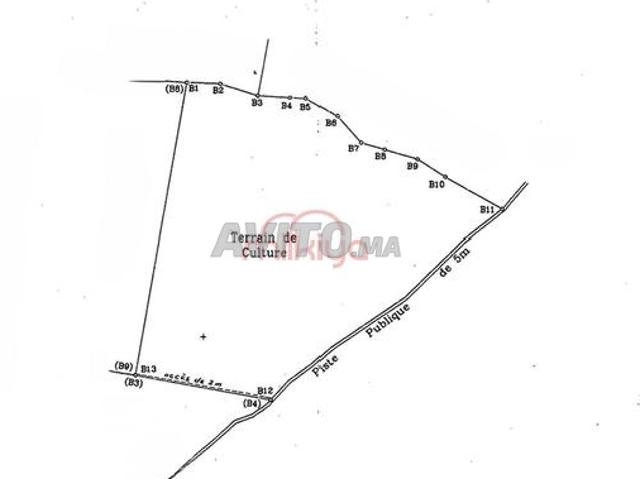 Location Terrain nu à El Kelâa des Sraghna