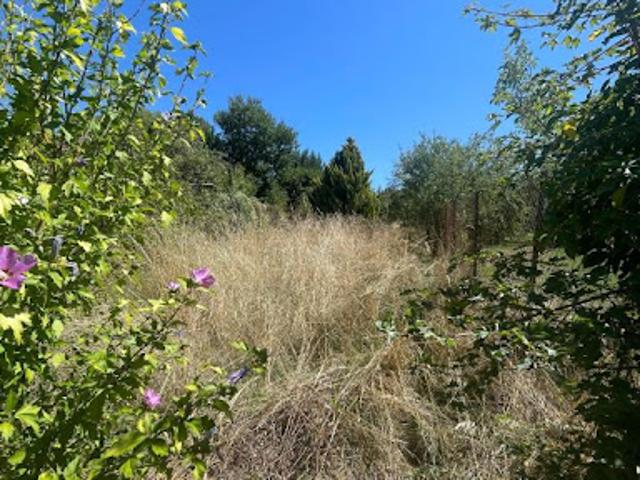 Location Terrain 0 m2 Tracy sur Loire