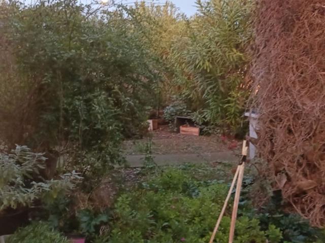 location villa 4 Pièce s