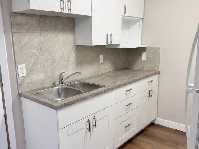 LOCATION!Walk 2 LRT/grocry 2BR LEGAL Bsmt new bath/kitchn B 1st 2 move in pet ok