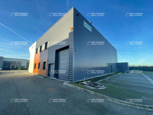 Location activité entrepôt 530 m²