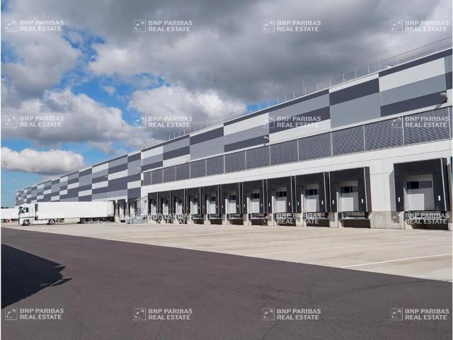 Location activité entrepôt 6728 m²