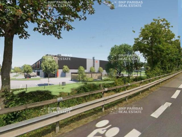 Location locaux d'activité neufs Geispolsheim Proche autoroute