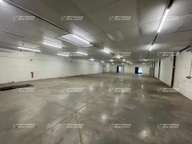 Location entrepôt Villeneuve d'Ascq Proche A22 et boulevard de l'Ouest