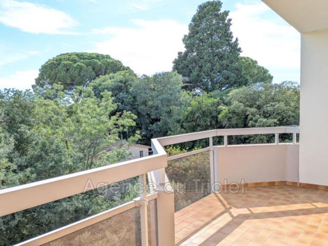 Location appartement 4 Pièce s