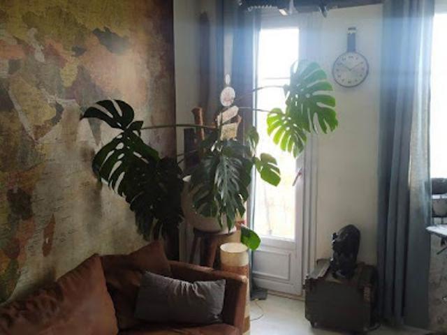 Location Appartement 4 pièces 70 m2 Toulouse