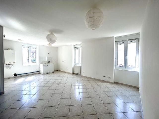 Location Appartement 4 pièces 74m² TOUSSIEU 69780