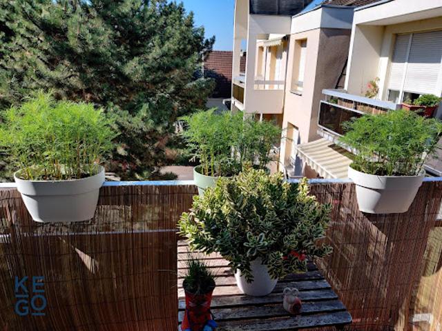 Location Appartement 4 pièces 80.01 m2 Bischheim