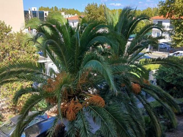 Location Appartement 4 pièces 82 m2 Saint aygulf