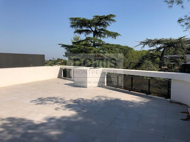 Location Appartement 4 pièces 99 m2 Montpellier