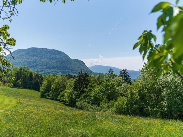 Location Appartement 4 pièces 100m² VILLAZ 74370