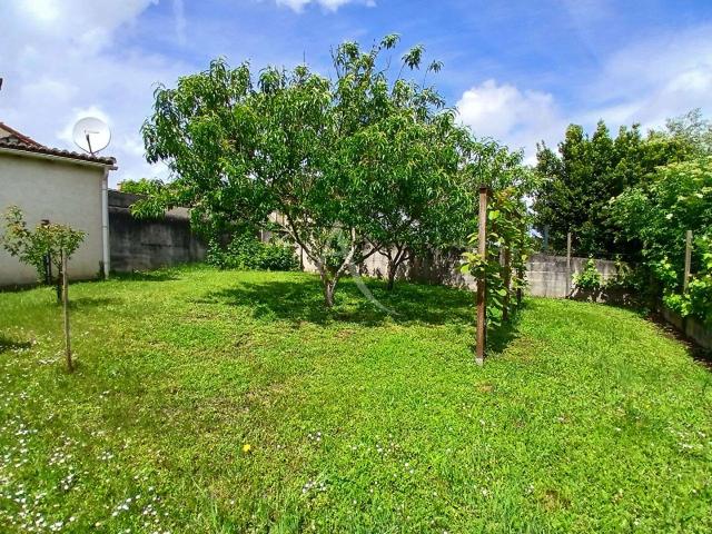 Location appartement 4 pièces Aubigné sur Layon 49