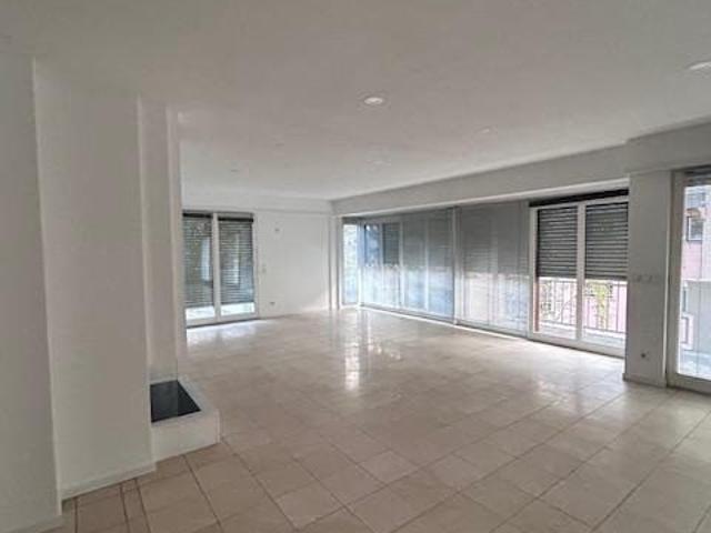 Location Appartement 6 pièces 158m² STRASBOURG 67000