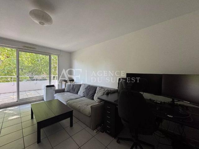 Location Appartement
