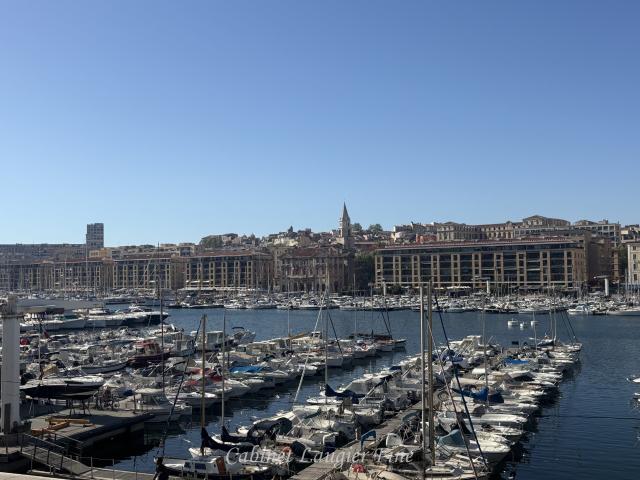 location appartement 1 pièce Marseille Vieux port