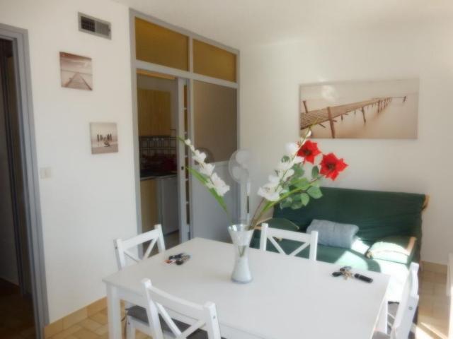 Location Appartement 1 pièce Meublé 26m² AIX LES BAINS 73100