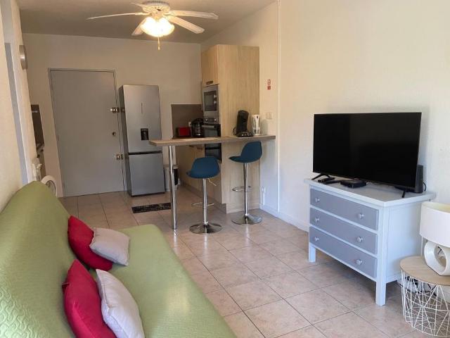 Location Appartement 1 pièce Meublé 35m² PALAVAS LES FLOTS 34250