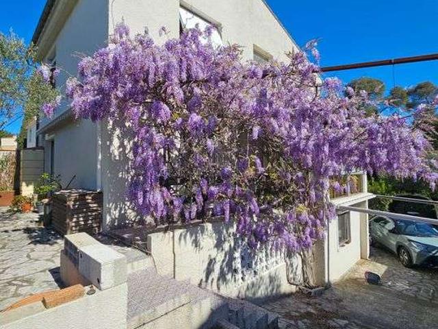 Location appartement 1 pièce Montpellier 34