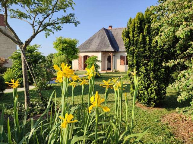 Location appartement 1 pièce Montreuil Bellay 49
